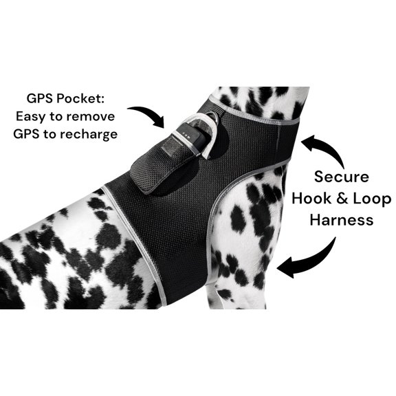 Remote Pet Security Pet Tracker GPS Dog Trackers Collar Mounted Finder Size:S