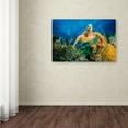thumbnail image 3 of Trademark Fine Art 'Hawksbill Turtle' Canvas Art by Jan Abadschieff, 3 of 3