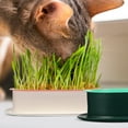thumbnail image 6 of 3 Pcs Indoor Plant Pot House Plants Cat Grass Planter for Pet Nursery, 6 of 6