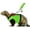 Green, variant on Minzimin Small Animal Harness and Leash - Soft Mesh Small Pet Harness with Safe Bell, No Pull Comfort Padded Vest for Small Pet