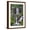 Brown Frame, variant on Art.com Shenandoah National Park, Virginia - Doyles River Falls Art Print by Lantern Press, White Frame Wall Art, 17" x 23"