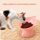 thumbnail image 4 of Cat Feeder Bowl Cat Raised Bowl Tilt Cat Bowl Pet Feeder And Waterer Cat Bowl With Stand Cat Waterer Cat Food Water Bow, 4 of 4