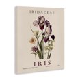 thumbnail image 2 of Stupell Industries Scandinavian Natural Iris Bundle Canvas Art, 36 x 48, by Christopher Giampietro, 2 of 8