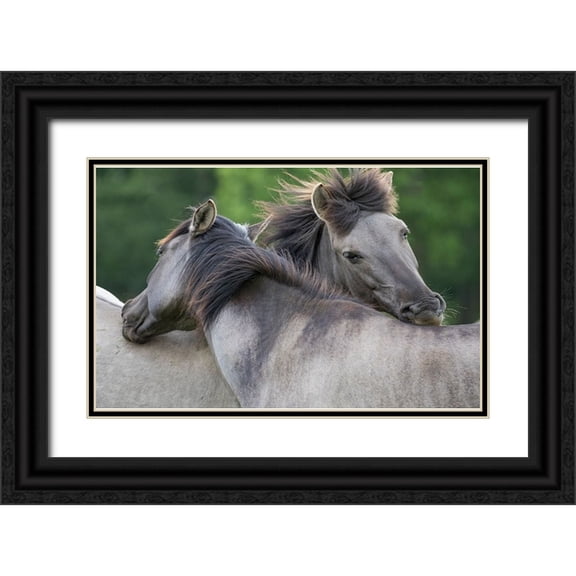 Walker, Carol 14x10 Black Ornate Wood Framed with Double Matting Museum Art Print Titled - Caring Horses