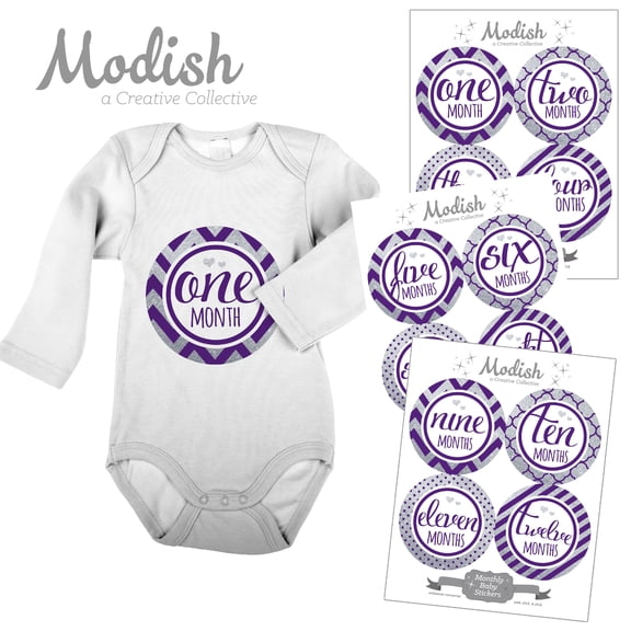 Modish Monthly Baby Stickers, Girl, Purple, Silver, Chevron, Stripes, Baby Photo Prop, Baby Shower Gift, Baby Book Keepsake