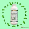 thumbnail image 4 of Vida Herbal - Liquid Chlorophyll 1 Lt Herbal Supplement - Natural Energy Boost and Internal Deodorant, 4 of 6
