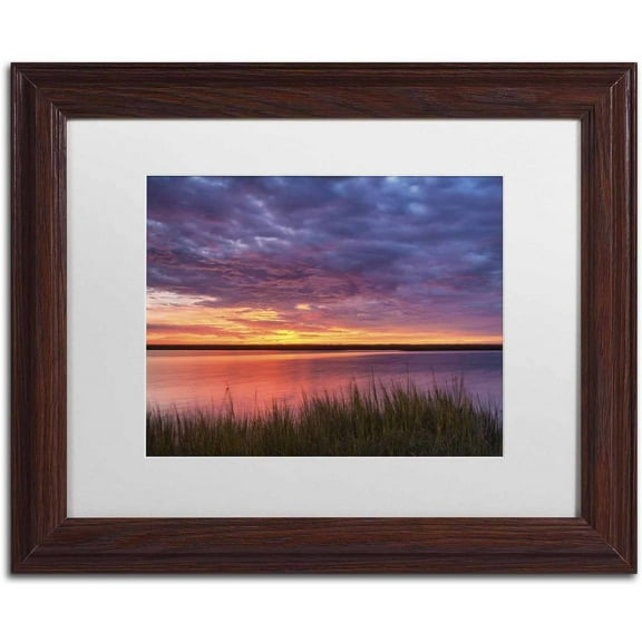 Trademark Fine Art 'Drama at the Marsh' Canvas Art by Michael Blanchette Photography, White Matte, Wood Frame