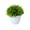 A, variant on Artificial Bonsai Tree - Small Fake Potted Plants for Indoor Decor, Realistic Desktop Miniascape with Green Grass and Bamboo Leaves for Home, Office, and Table Centerpieces