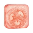 thumbnail image 2 of Gzwccvsn Rose And Loofah Essential Oil Soap, Plant Essential Oil Soap, Aromatherapy Soap, Suitable For Both Men And Women, With Multiple Uses shampoo bars for hair, 2 of 7