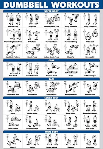 Home Gym Dumbbell Workout Poster Free Weight Exercise Guide Laminated 18 x 27 in Dominican Republic at DOP 3952 Rating 5