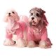 thumbnail image 1 of Ropa Para Perros Handsome Wear, 1 of 8