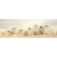 thumbnail image 2 of Deiter, Lori 24x11 Gold Ornate Wood Framed with Double Matting Museum Art Print Titled - Spring Line Up, 2 of 4