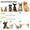 thumbnail image 5 of GreenJoy LED Dog Collar, Rechargeable and TPU Cuttable Glowing Pet Collar for Night Safety, 5 of 8