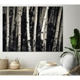 thumbnail image 3 of Giant Art 72x54 Birch Trees Fine Art Giant Canvas Print in White, 3 of 3
