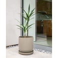 thumbnail image 5 of Veradek Mason Series Kona 15" Plastic-Stone Planter with Saucer Bundle - Sand (2 Pack), 5 of 5