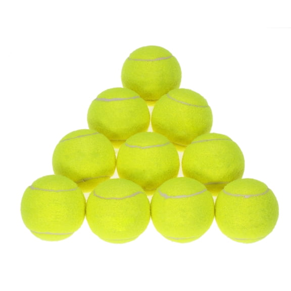 BIMZUC 10 Pack Yellow Tennis Balls for Practice, High Resilience Rubber Training Balls for Beginners, Pet Friendly (2.6 inches / 6.5 cm)