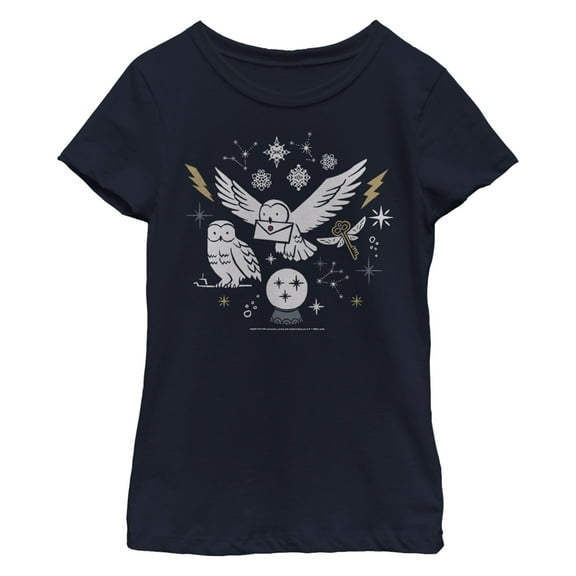 Girl's Harry Potter Hedwig Winter Owl Graphic T-Shirt