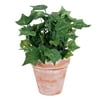 Way to Celebrate Springtime Greenery Faux Potted Plant, Multiple Plant Types, 8.5”