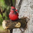 thumbnail image 4 of POINTERTECK Tree Decorations Outdoor Decor Simulated Resin Bird Garden Sculpture Art Gift For Lawn Tree Decorations, 4 of 6