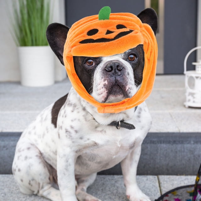 HEATSHAKING 1Set Orange Knitting Wool Pumpkin Shaped Hat for Pet Cat Photo Prop