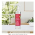 thumbnail image 4 of Home Spray Alta Mainstays Armonía de Verano 250 Ml, 4 of 4