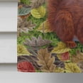 thumbnail image 4 of Carolines Treasures ASA2133CHF Écureuils Rouges Drapeau Toile Maison Taille, 4 of 4