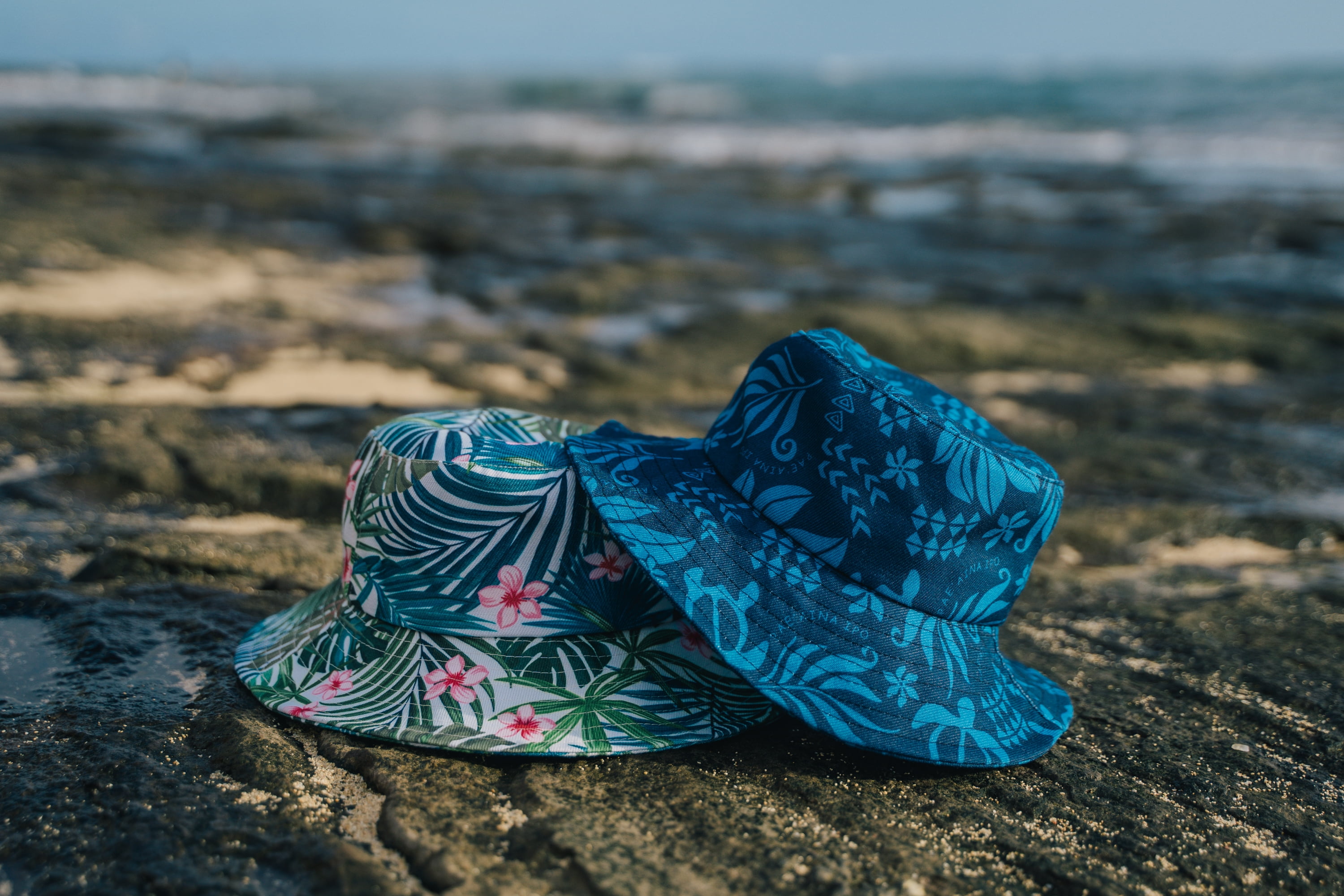 ISLAND CREW HAWAII BUCKET HAT: Honu Monstera Cream