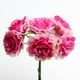 thumbnail image 3 of 6 Cabezas 3 Cm / 4 Cm / 5 Cm Seda Rosa Estambre Artificial Ramo de Flores para Scrapbooking Boda Decorativa Bricolaje Artesanía Flores Ramo Rosa roja, 3 of 8