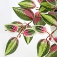 thumbnail image 3 of Planta de peperomia artificial de sandía Briful de 40 cm para interiores, 3 of 6