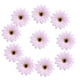 thumbnail image 1 of 10 Piezas Artificial Gerbera Daisy Flowers Head para DIY , Púrpura claro BLESIY Cabeza de la flor, 1 of 8