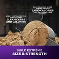 thumbnail image 3 of WJBP High-Protein Mass Gainer (Triple Chocolate Brownie, 6LB) - Mass Tech Extreme 2000 Mass Gainer Protein Powder Supplement - Weight Gainer for Increase Muscle, Enhanced Recovery & Strength, 3 of 6