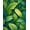Green, Pattern 4, variant on ODIKA 4' x 6' Machine Washable Non-Slip Area Rug, Tropical Split-Leaf High Traffic Rug, Lime Green, 280933