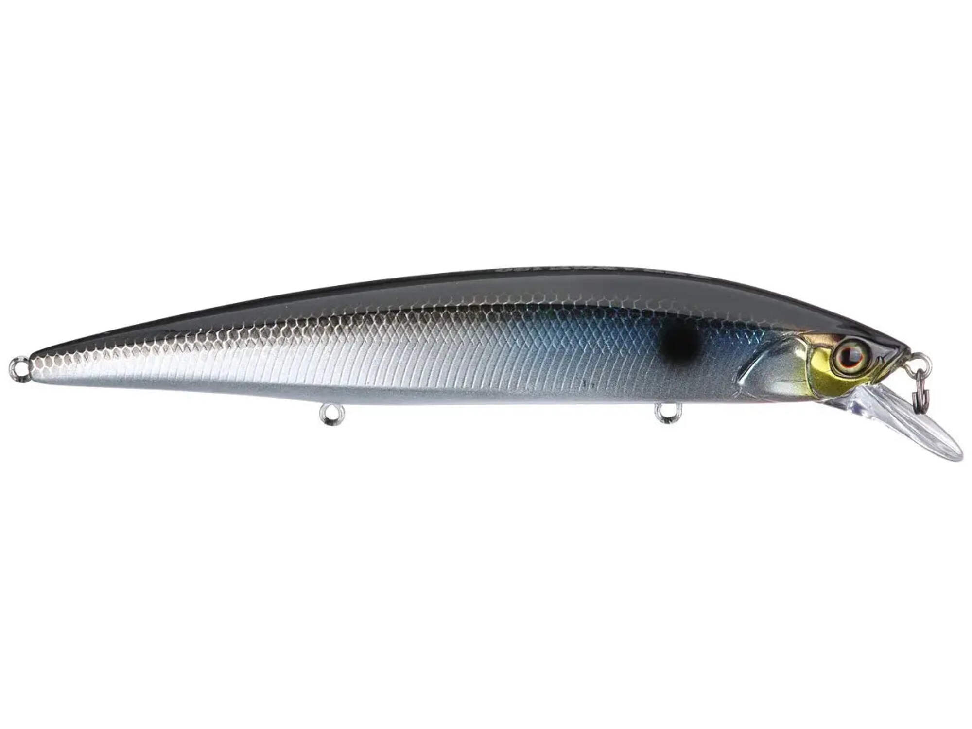 Jackall Rerange 110MR Jerkbait Ghost Wakasagi