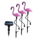 thumbnail image 1 of 3 Piezas Flamingo Paisaje Luz Resistente Energía Solar Para Jardín Césped, 1 of 7