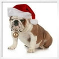 thumbnail image 2 of Christmas Dog  English Bulldog Wearing Santa Hat Holding Christmas Bell, Animals Seasons Framed Art Print Wall Art by Willee Cole Sold by Art.Com, 2 of 6