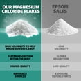 thumbnail image 7 of Coach Soak Magnesium Bath Flakes Peppermint Dead Sea Mineral Salt Post Workout Recovery Soak, 7 of 7