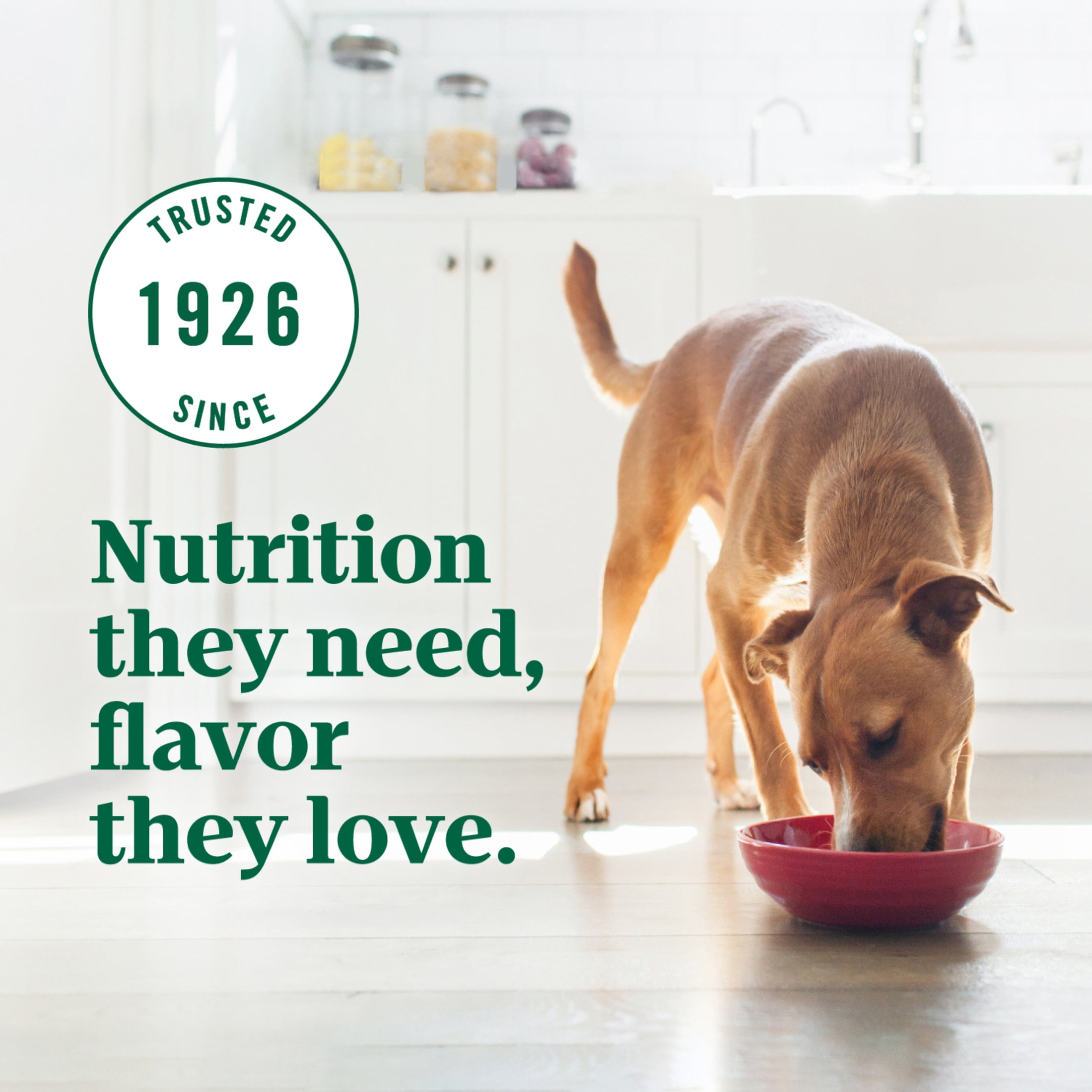 Nutro Ultra Adult Weight Management Dry Dog Food, Chicken, Lamb and Salmon Protein Trio, 24 lb Bag