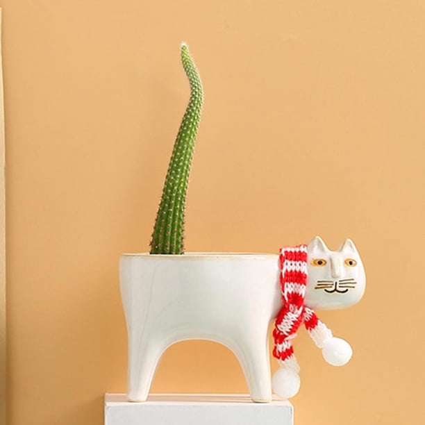 Adornos de decoración de macetas suculentas de cactus de jardín de maceta de blanco Sharpla Maceta suculenta
