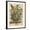 Black Frame, variant on Art.com August Art Print by Robert Furber, 12" x 16"