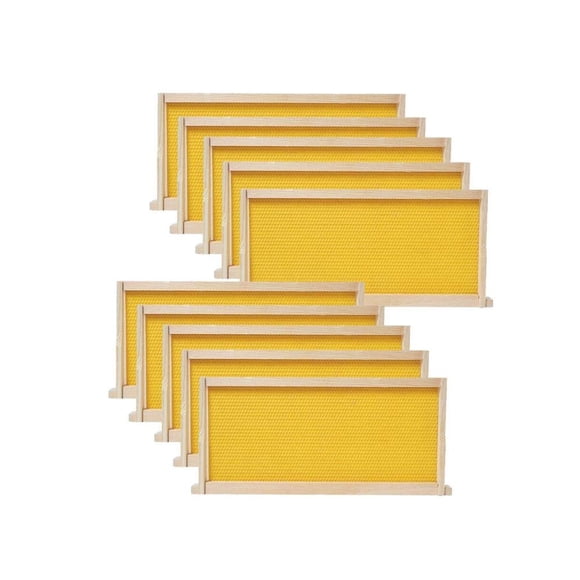 BeeCastle Medium Beehive Frames and Wax Foundations,10 Pack Honey Bee Frames with Wooden Bee Hive Frames and Beeswax Coated Found