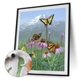 thumbnail image 1 of Cuadros Decorativos Kit de pintura por números DIY mariposa mano aceite arte imagen artesanía hogar pared decoración Ndcxsfigh Nuevos Originales, 1 of 9