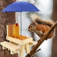 Suet Feeder with Roof Treadle Feeder Feeders Standing Squirrel Baffle