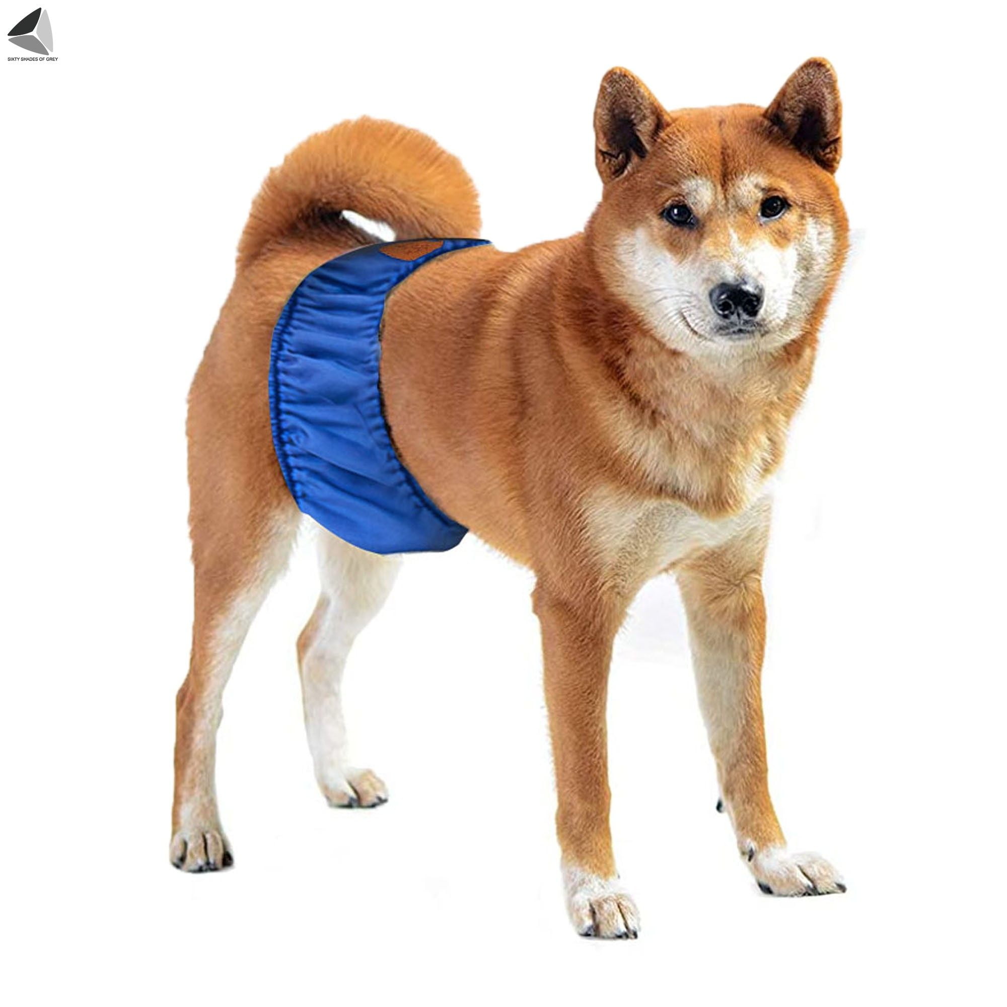 PULLIMORE Male Dog Belly Manner Bands Resuable Dog Diapers Elastic Washable Pet Band Wraps Nappies (L, Cyan)
