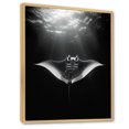 thumbnail image 2 of Designart "Majestic Oceanic Manta Ray" Coastal Coral Under Water Floater Framed Canvas Art Print, 2 of 5