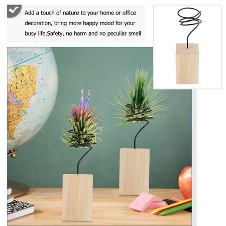 

Airtillandsia Holder Plants Metal Display Pot Wood Planter Airplant Rack Stand Wire Vase Container Succulent Rack Holder