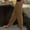 Brown, variant on Linen Joggers Pants Women Split Leg Pants Tapered Leg with Pockets Ankle Length Womens Pants Side Button Solid Trousers