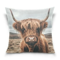 Ryvnso A Highland Cow Throw Pillow Covers Couch Pillowcases Decor for Bed Sofa 18" x 18"