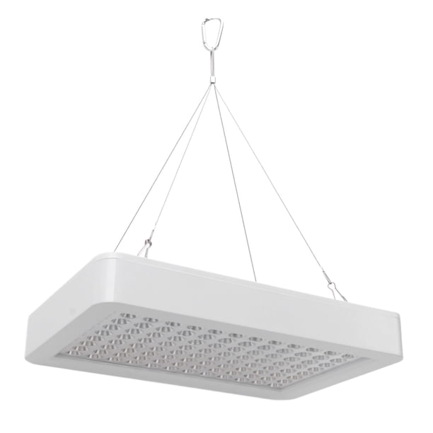 Luz de cultivo LED de espectro completo, lámpara de cultivo de plantas de 1000W, lámparas de cultivo hidropónico de invernadero, lámpara de cultivo de plantas de calidad superior