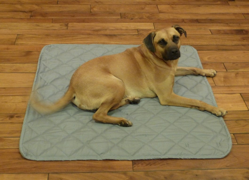 best travel dog mat