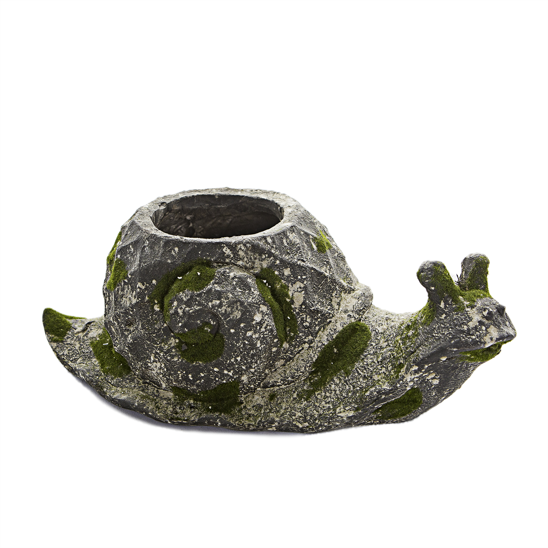 Moss Snail Planter